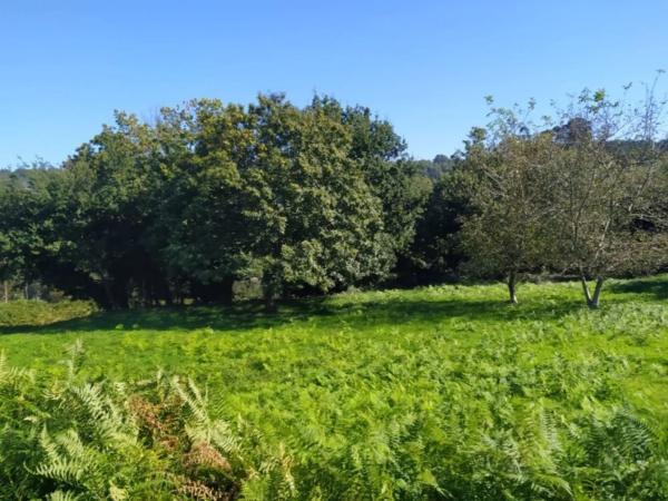 Terreno en Coiros