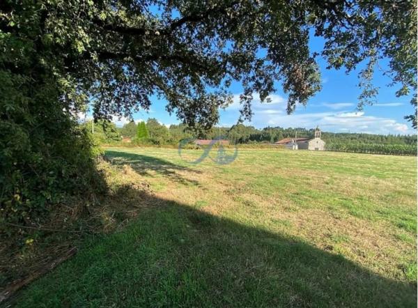 Terreno en Castellana