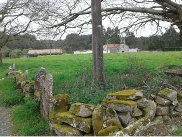 Terreno en Castellana