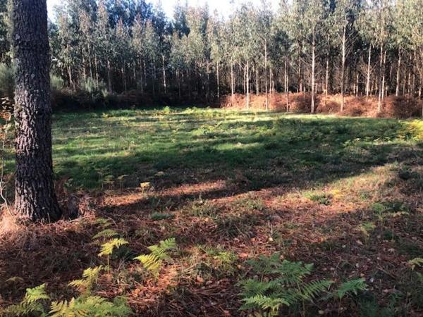 Terreno en Lugar De Soutullo s/n Sn