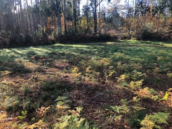 Terreno en Lugar De Soutullo s/n Sn