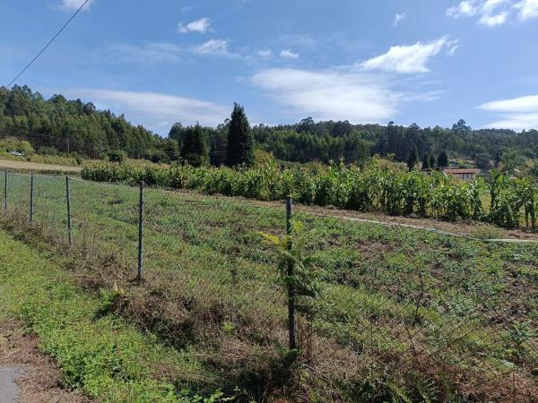 Terreno en Oza-Cesuras