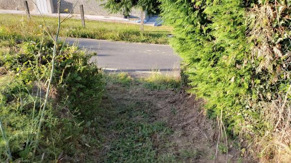 Terreno en Lugar Sanchal