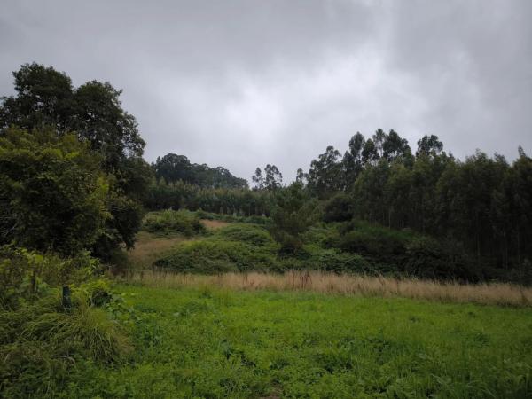 Terreno en Mangoño, 10