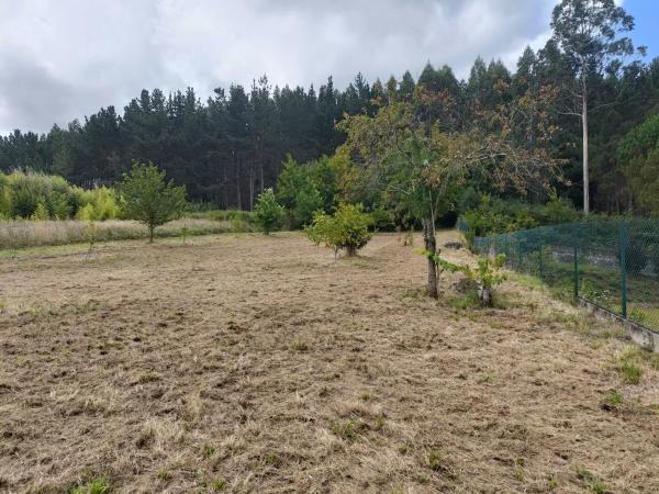 Terreno en Burricios