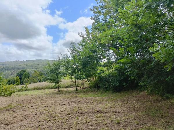 Terreno en Burricios