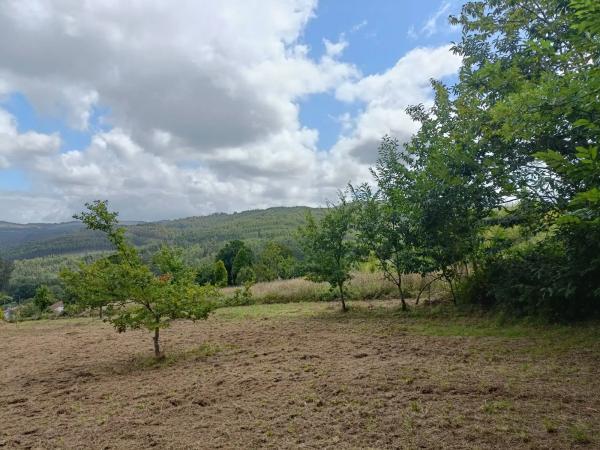 Terreno en Burricios