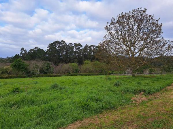 Terreno en Lugar Castros