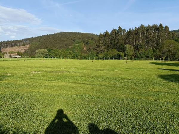Terreno en Ameixeira