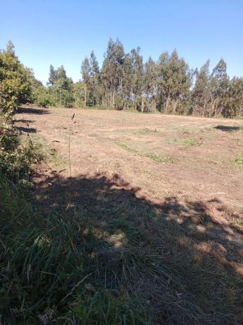 Terreno en Parada, km 24