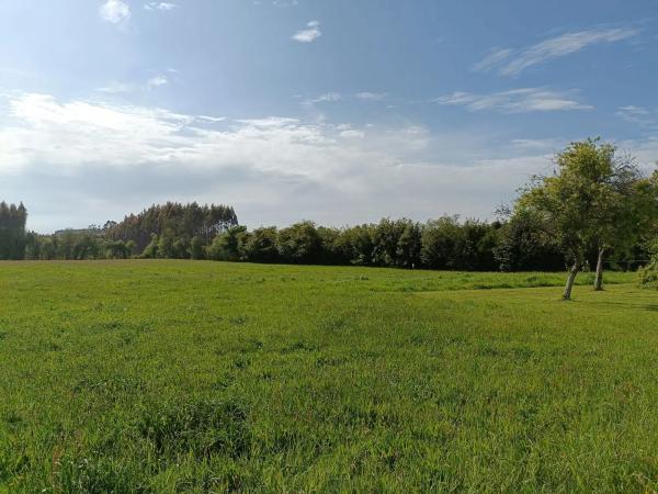 Terreno en Ril Arriba s/n