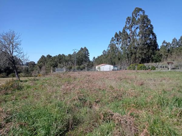 Terreno en calle Campeiro, 5