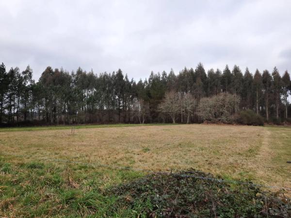 Terreno en Gulpilleira s/n