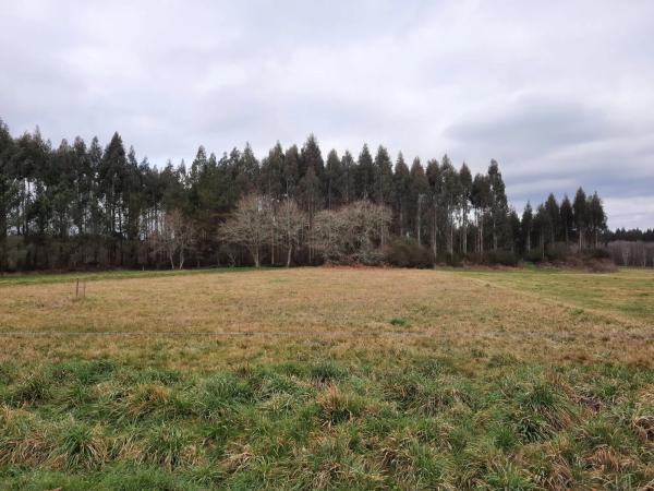 Terreno en Gulpilleira s/n