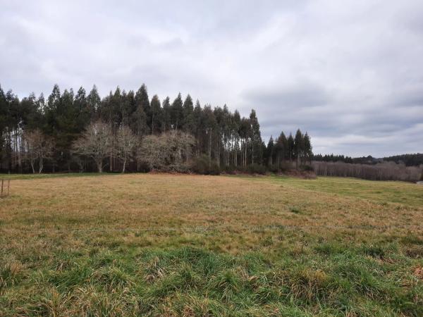 Terreno en Gulpilleira s/n