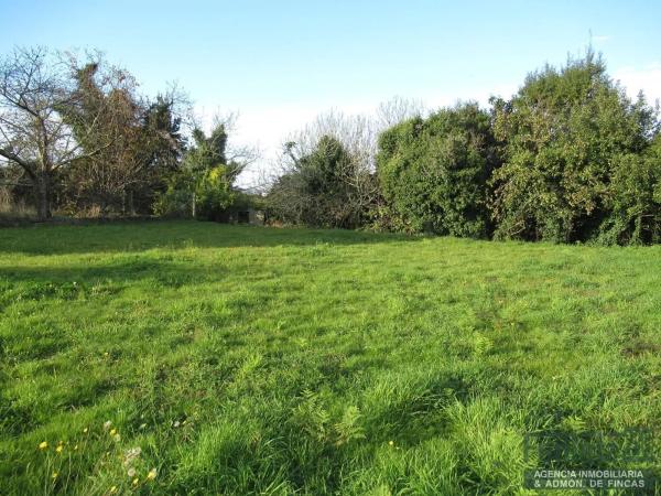 Terreno en Lugar Collantres