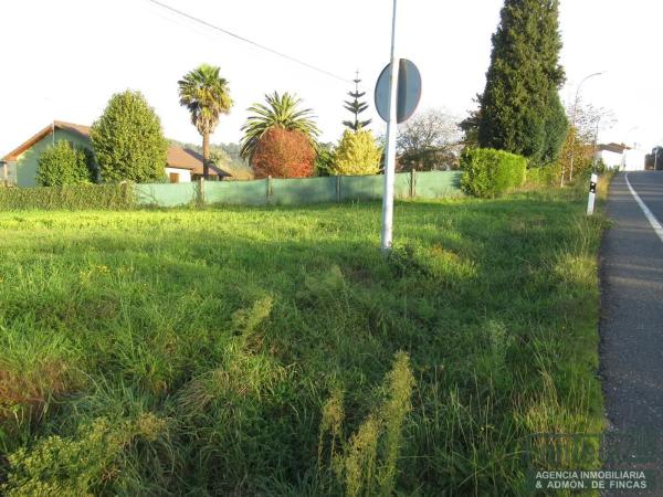 Terreno en Lugar Collantres