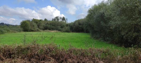 Terreno en Libioi s/n