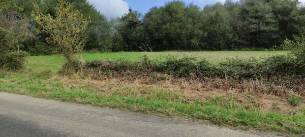 Terreno en Libioi s/n