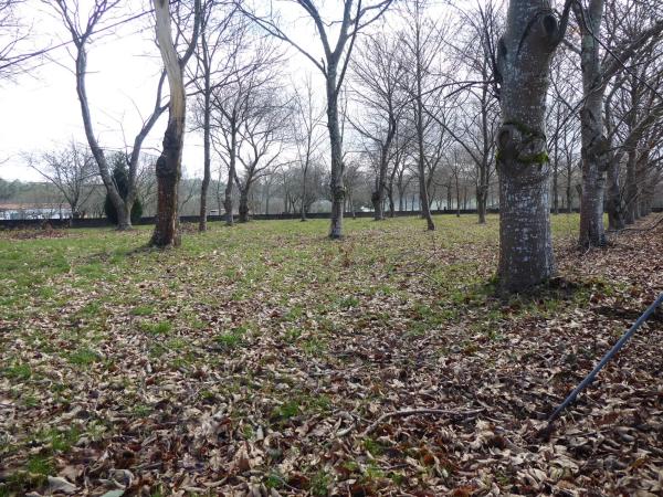 Terreno en Dp-0905 s/n