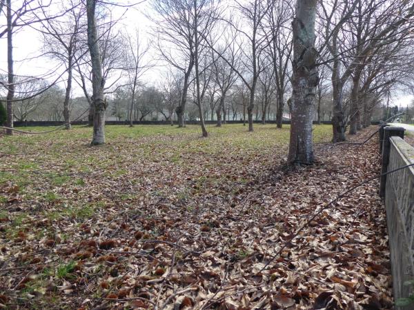 Terreno en Dp-0905 s/n