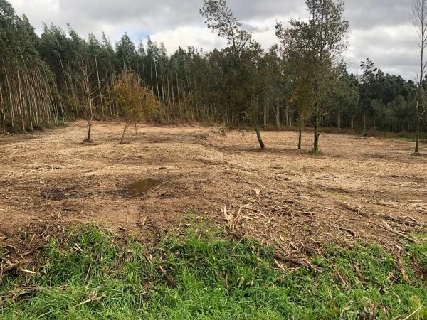 Terreno en Lugar Figueiras, 15