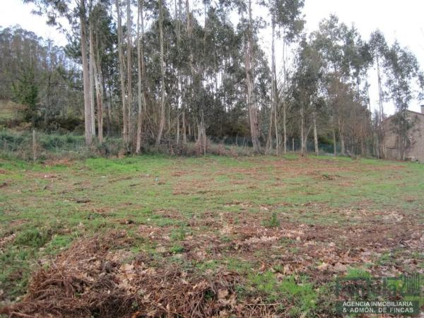 Terreno en Regueira