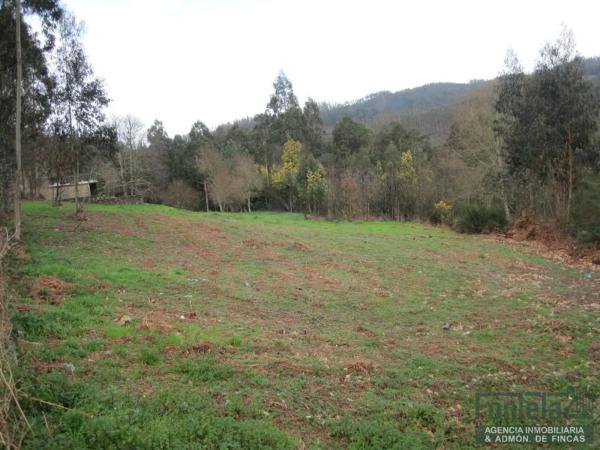 Terreno en Regueira