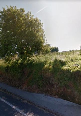 Terreno en avenida Antonio Pintor s/n