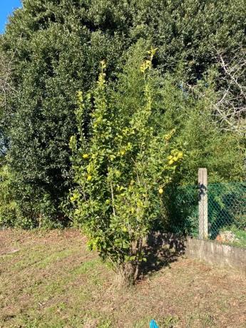 Terreno en Lugar Queiris, 38