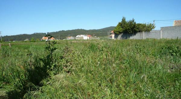 Terreno en carretera Boebre-pumariño s/n