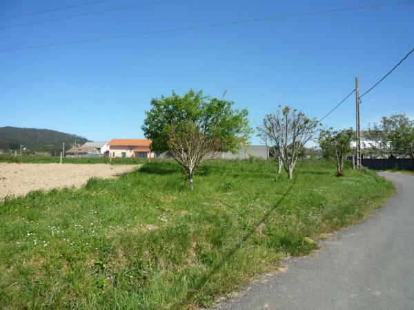 Terreno en carretera Boebre-pumariño s/n