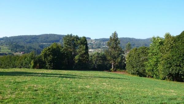 Terreno en calle Dp-0906, km 6