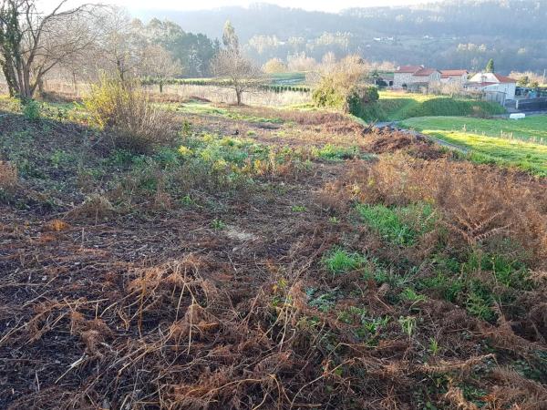 Terreno en Lugar do Castro s/n