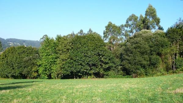 Terreno en calle Dp-0906, km 6