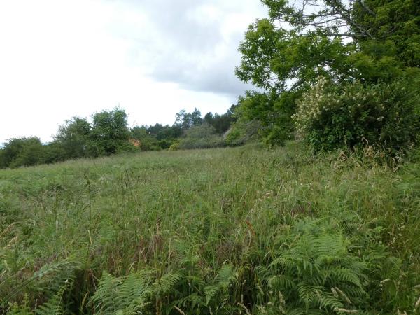 Terreno en calle pena de eideixa s/n