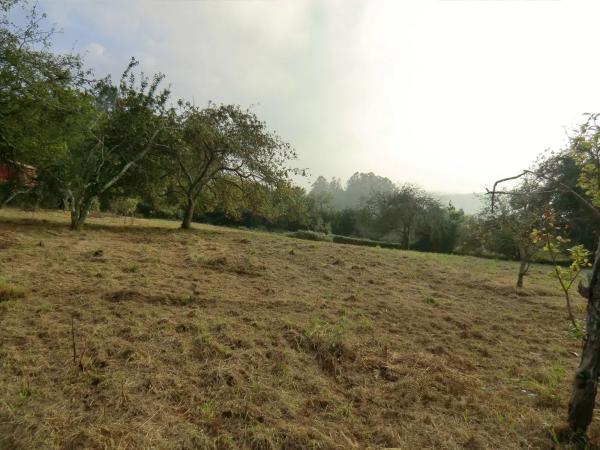 Terreno en calle pena de eideixa s/n