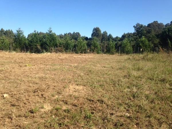 Terreno en avenida de Xarío, 33 ParcelaVA