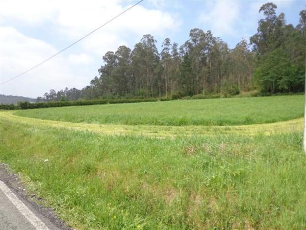 Terreno en cal de samede s/n