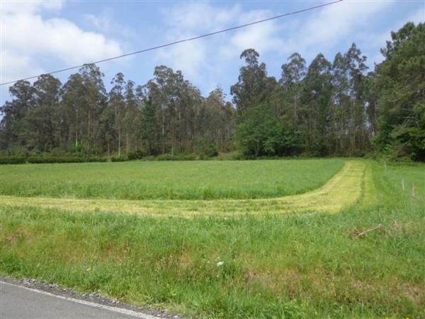 Terreno en cal de samede s/n