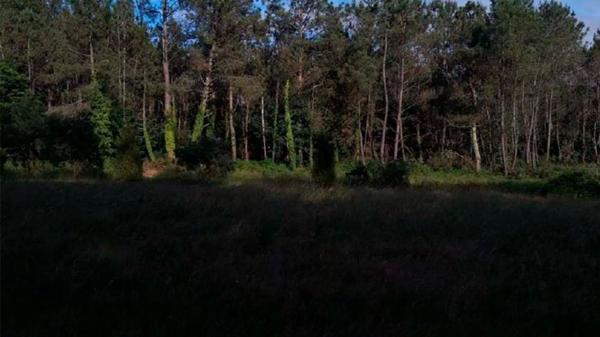 Terreno en Dp-0905, 29