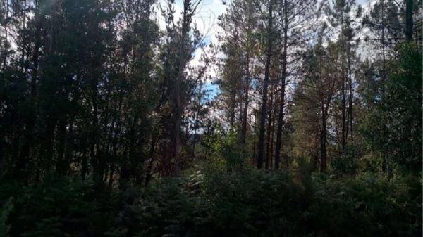 Terreno en Dp-0905, 29