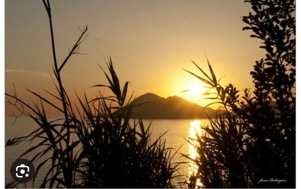 Terreno en calle Louro, 107