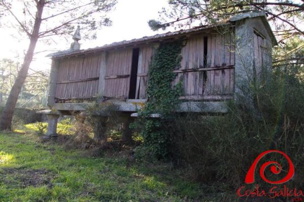 Terreno en rueiro tras da costa