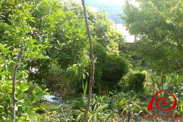 Terreno en calle san pedro