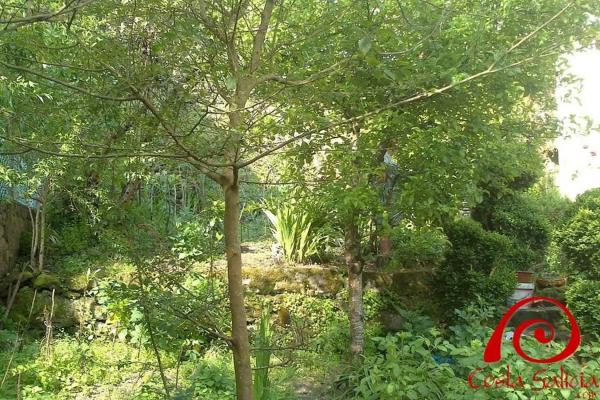 Terreno en calle san pedro