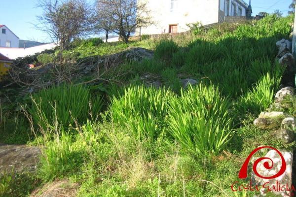 Terreno en calle bellavista