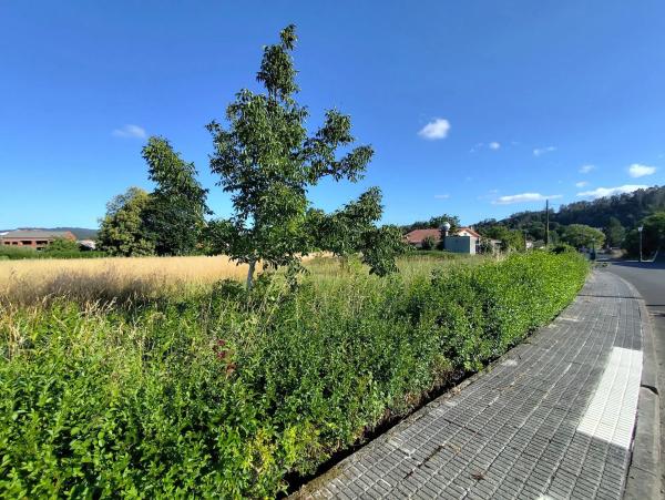 Terreno en calle Xulián Magariños, 28