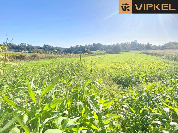 Terreno en Piñeiro