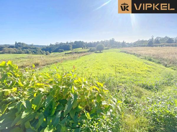 Terreno en Piñeiro